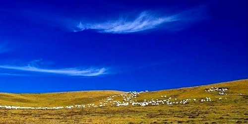 �ຣ ��� �D�^�q�µ���݆