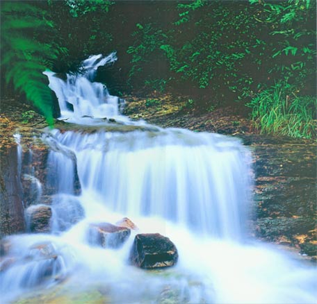 �Lɳ������һ