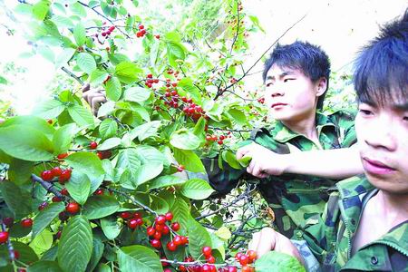 ���߅^(q��)��կ�l(xi��ng) ���Ҝϴ� ���� ���� �r(n��ng)�Ҙ�