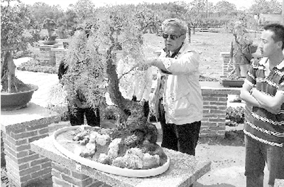 ���ֲ��@ �辰 ���������辰 