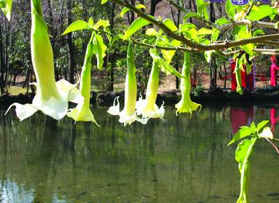 ������Դ