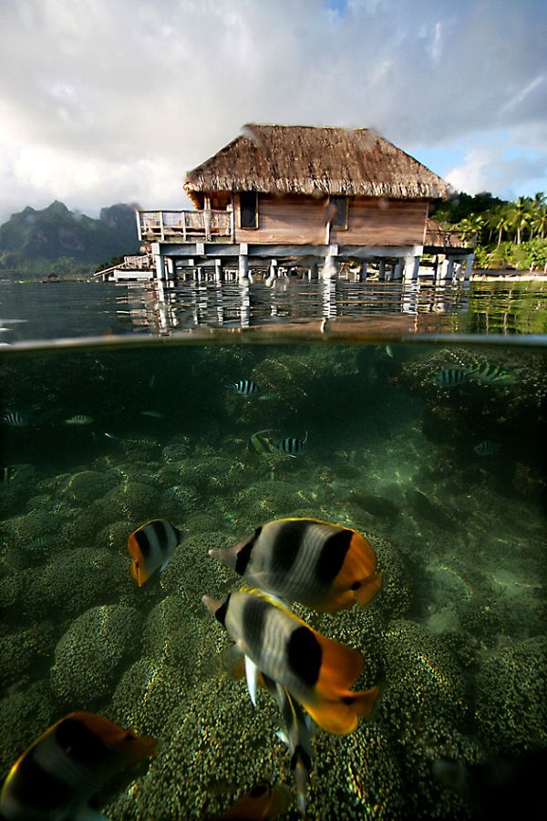 ���������u �������������ču�Z ��������