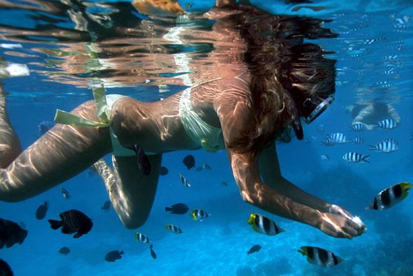 ���������u �������������ču�Z ��(m��ng)������