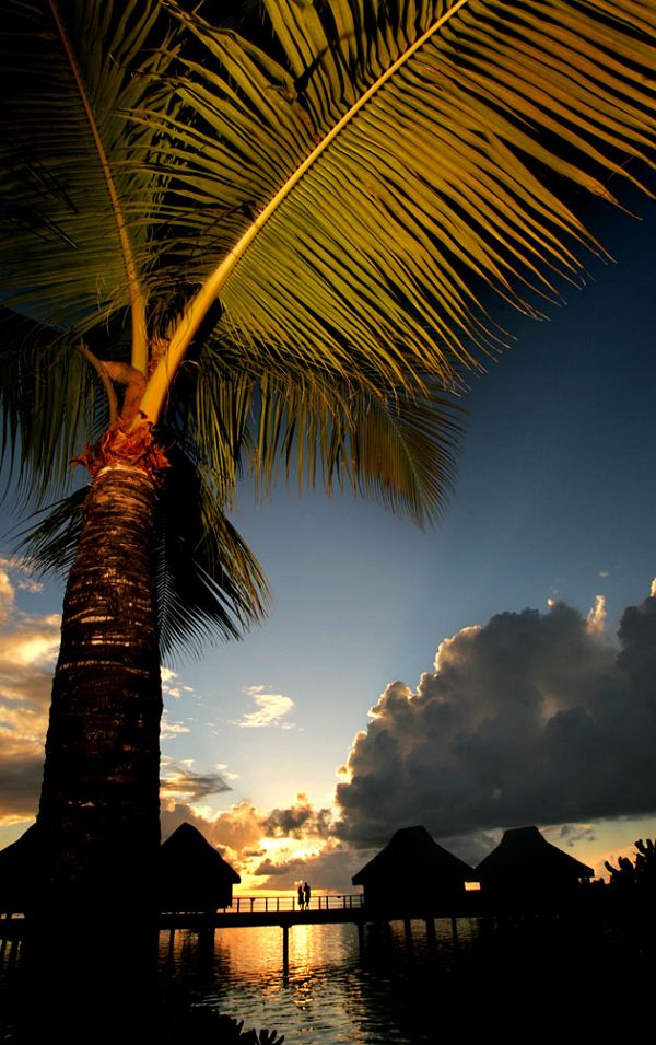 ���������u �������������ču�Z ��(m��ng)������