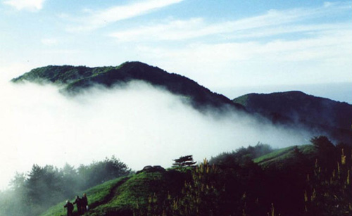 ��ꖹ�ʼ�h���Aɽ�����L(f��ng)���^(q��)