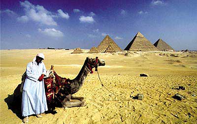 ���� �L(f��ng)��