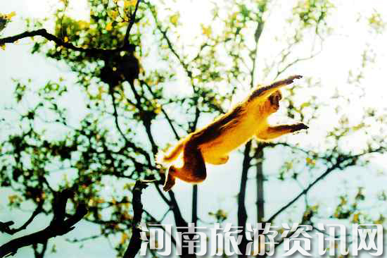 ��(j��)Դ�������L(f��ng)�����م^(q��)