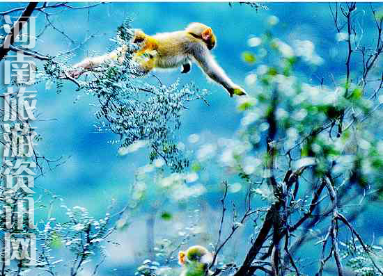 ��(j��)Դ�������L(f��ng)�����م^(q��)