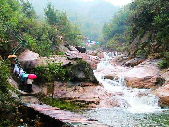 ƽ�ɽ��ü��