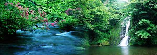 �质կ�������ι���