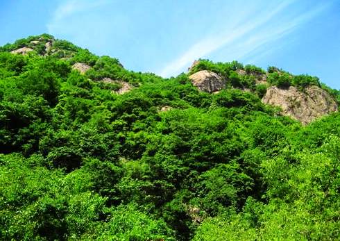 �质������