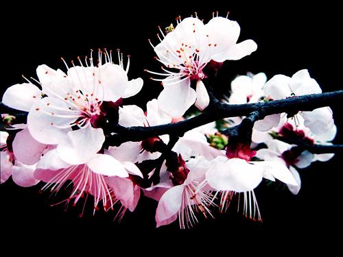 �质������