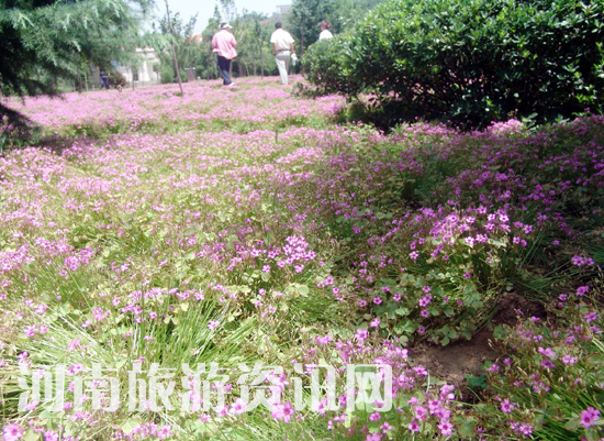 6��20�� �^�� С�˵� �S��С�˵��^�ٹ�(ji��) ����L(f��ng)���^(q��)