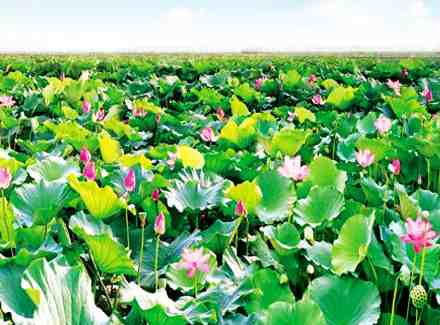 ���{�Σ��A�����������Ļ�Է