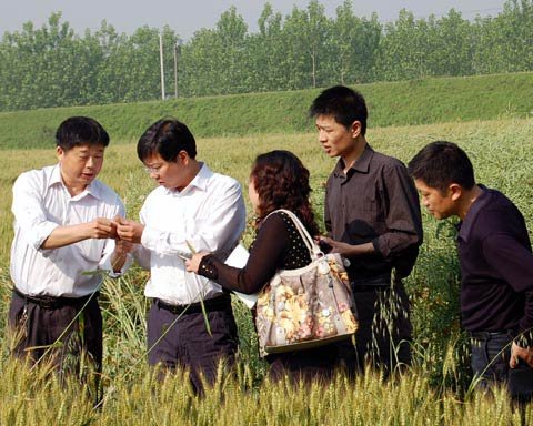 ��ɭ�h ʷ�� �����p ���L(zh��ng) ���� ������