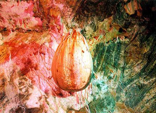 ���{�ɻ������^(q��)