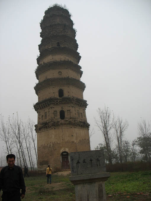 ����廨����