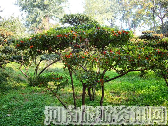 �������񹫈@