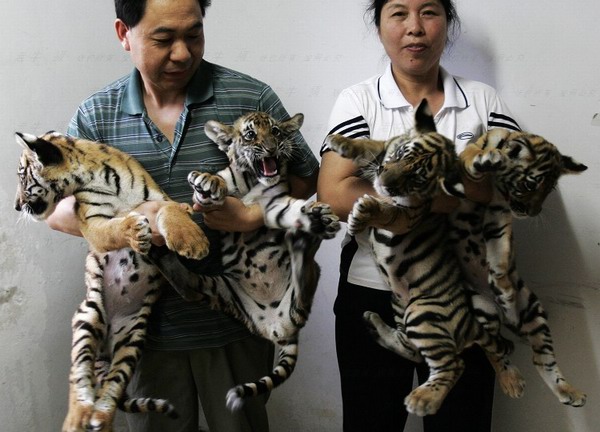 ���(y��ng) ���ǹ��@ �A�ϻ�