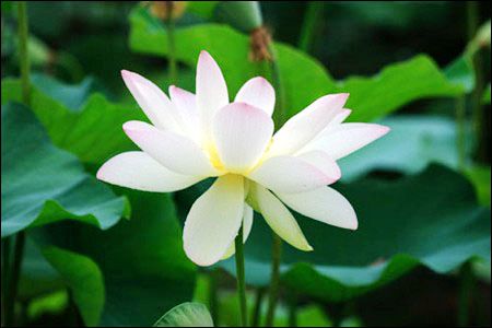 �A���@�ɻ�