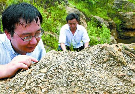 ��(n��i)�l(xi��ng)�l(f��)�F(xi��n)����o(j��)�r(sh��)�ں�������ﻯʯ