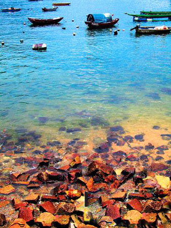 ��Ѿ�u ͣ���_��   ����