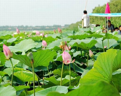 �ܿ� ��� ���� �p�� ������ Ԋ�x