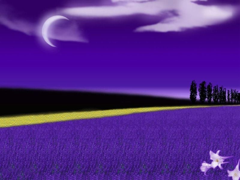 ���_��˹ ��ɫ ���� 