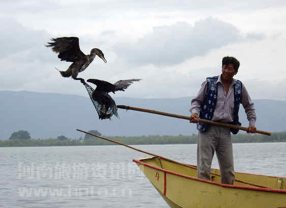 ���������~�����~