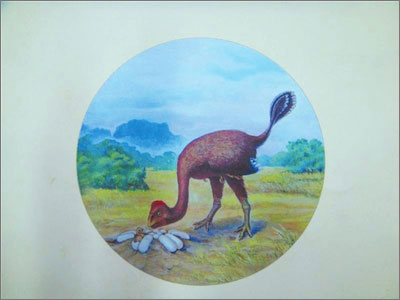 �������(y��ng)��