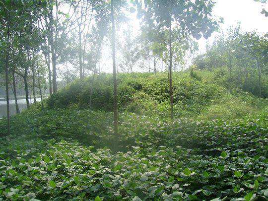 �ܲ��c���_�zַ