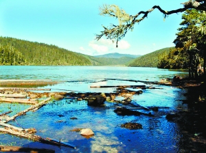 ���D(zhu��n) �ϰ��� �Ϸ� ë����˹ �����m ���� ָ�� 