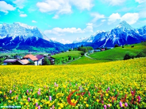 ���D(zhu��n) �ϰ��� �Ϸ� ë����˹ �����m ���� ָ�� 