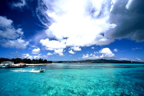 �����u ���_ �r(sh��)��(ji��) ���� �� ��̎