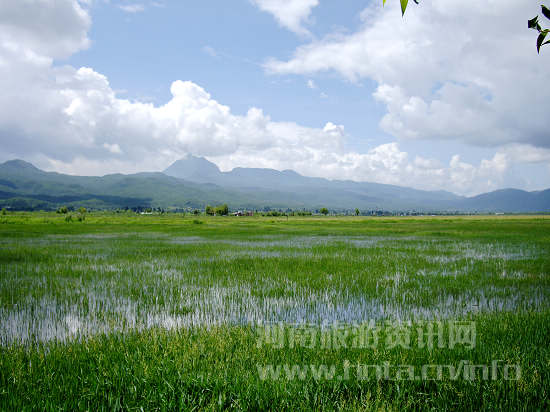 ���к�����