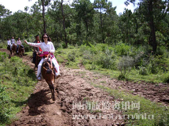 ���R�ŵ� �T�R