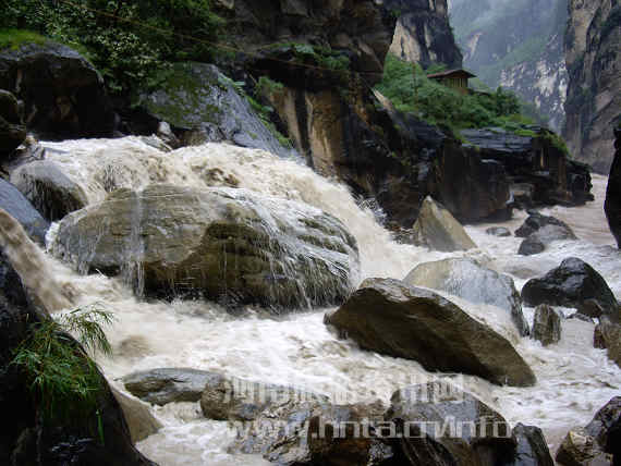 �����{ �л���