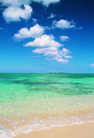 ���ٺ� ��� �� ���� ��