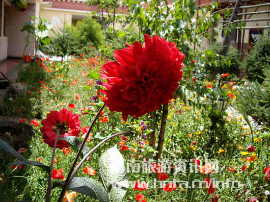 ������� �������� �r��