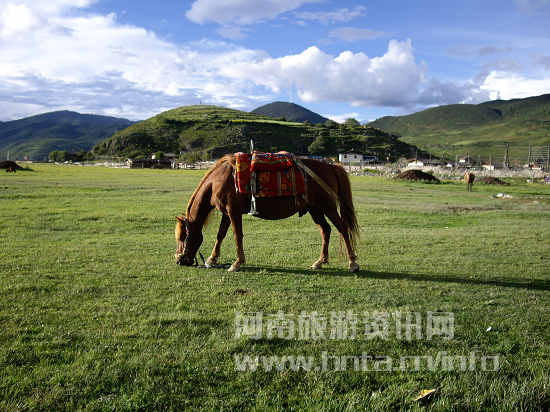 �ǰͺ���ԭ �T�R