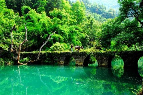 �� ˮ�� ɭ�� ͸�ě�