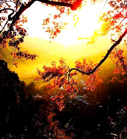 ��y ��Դ ���M ůů ��ɫ��