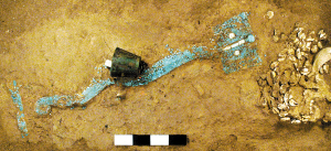 �Ї�(gu��) ��һ��(g��)���� ���� ������ �����^�zַ