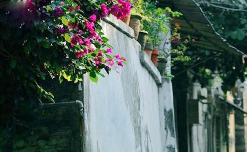 �����ֺ��� �S����10���ȥ̎