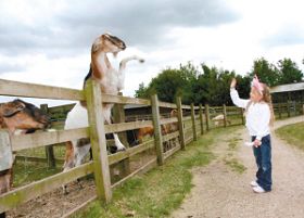 Ӣ�� ɽ�� ���� �ο� ��e