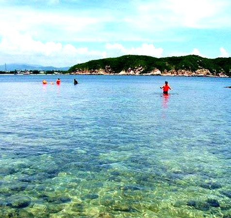 ���� �ʺ�