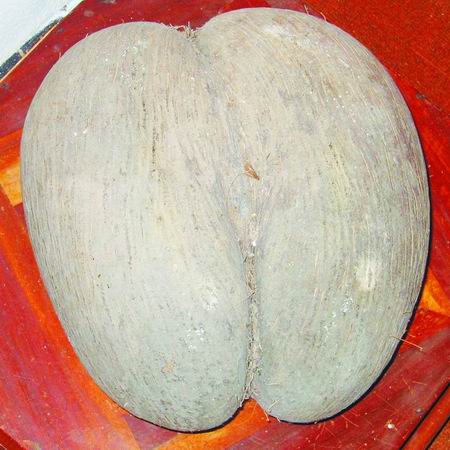 ���ࠖ ��(gu��)�� ��(d��)һ�o(w��)�� ��Ҭ��