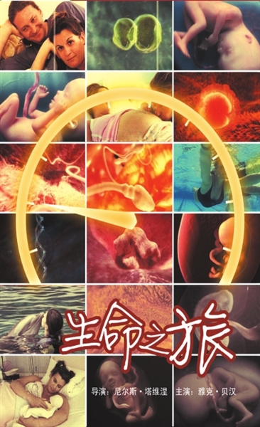 �����o�Ƭ����֮��