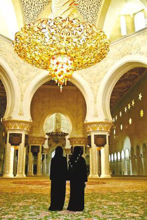 2010 ���� ̤�� ���� �زȵ� ���]