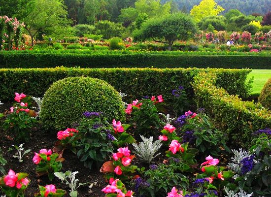 �������ĈDƬ